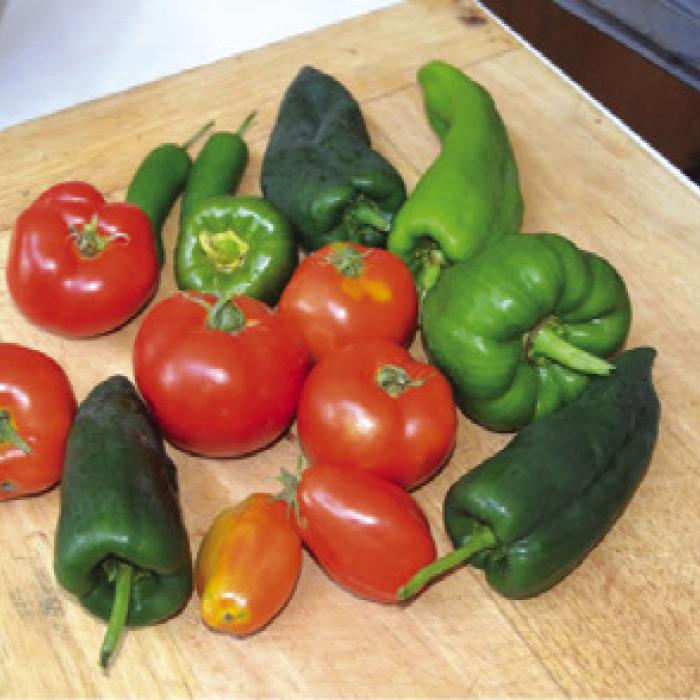 Spotlight on What Other Local Gardeners Are Doing