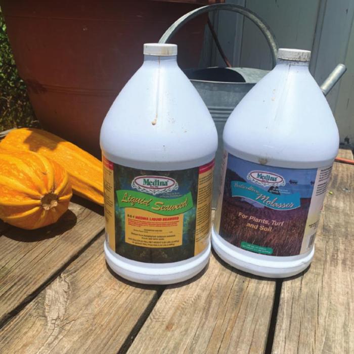 Apple Cider Vinegar and Molasses Make a Great Combo