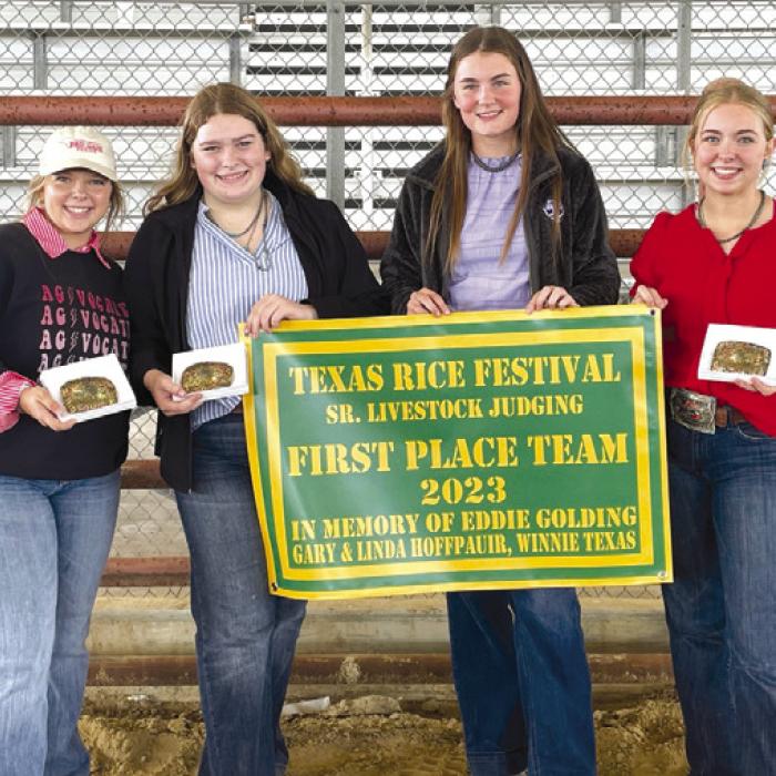 4-H Competes in Texas Rice Festival Livestock Judging Contest