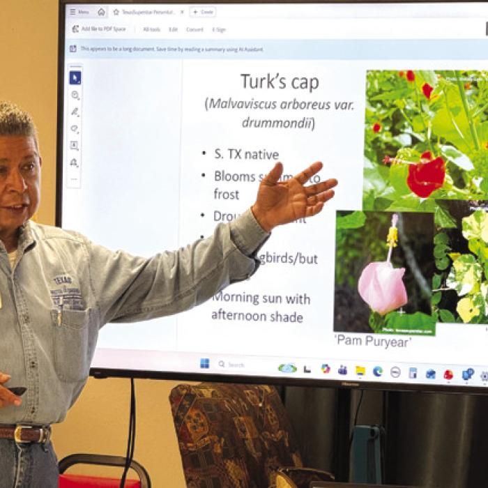Joe Jimenez, a local Master Gardener, presented the Perennial Super Stars plants to members in Schulenburg.