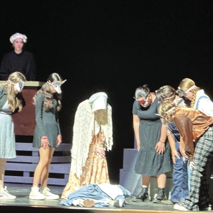 LMS Students Perform ‘Trial of Goldilocks’ in One Act Play Competition