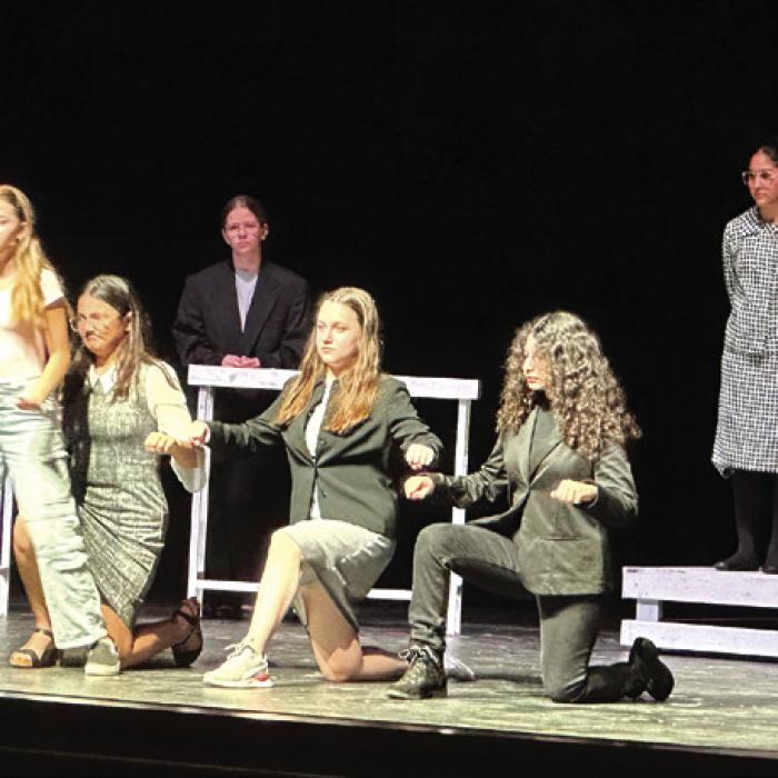 LMS Students Perform ‘Trial of Goldilocks’ in One Act Play Competition