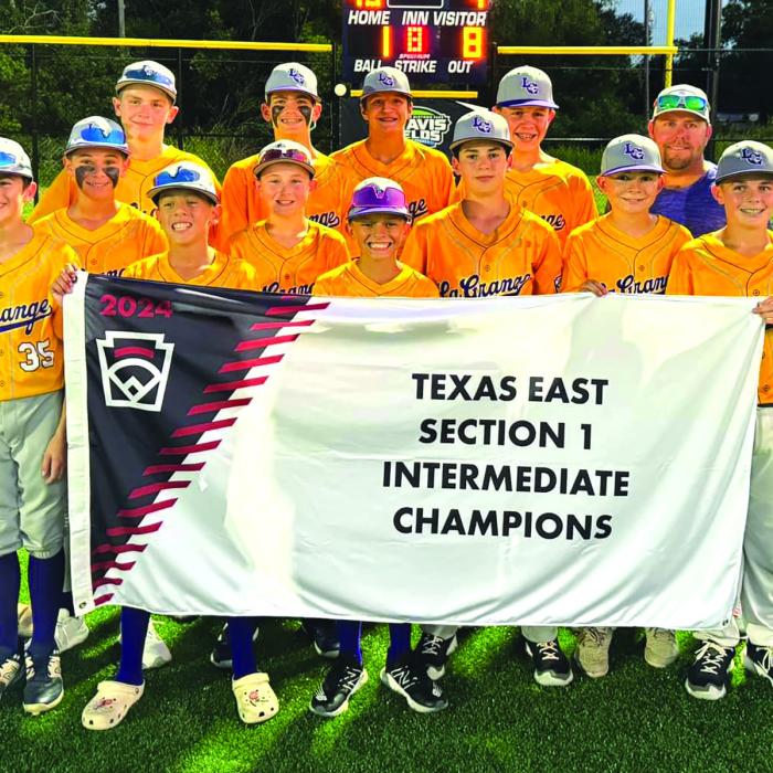 La Grange Intermediate Wins Little League Sectional Title