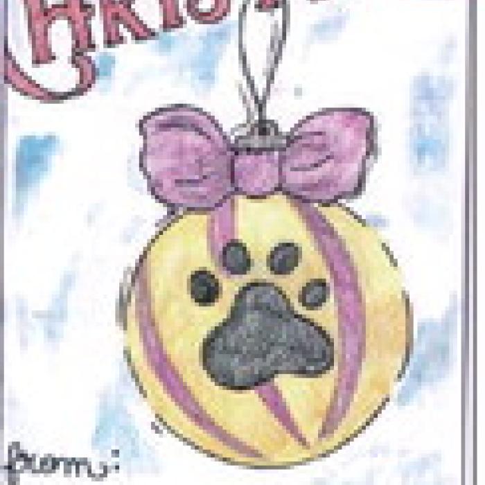 Mitchell’s Design