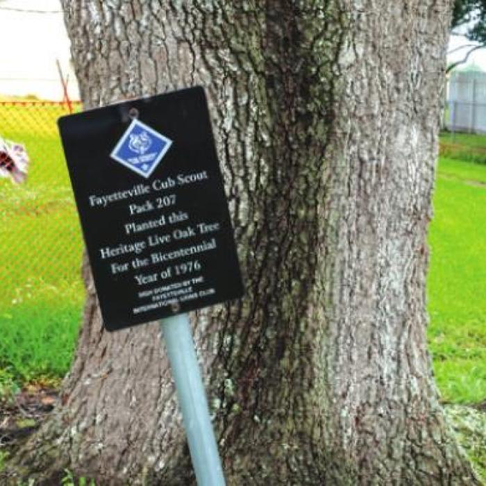 During the Nation’s bicentennial in 1976, the local Cub Scout den planted a live oak tree in front of the schoolhouse.