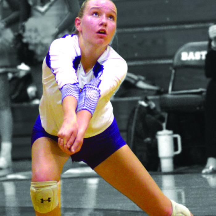 Jobb to Play College Volleyball