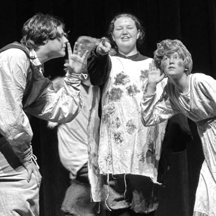 Shakespeare Here This Weekend