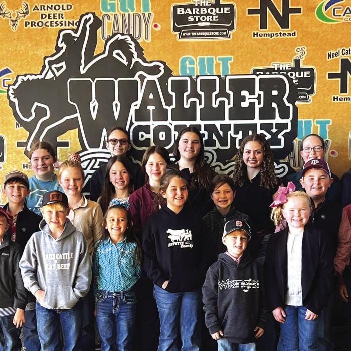 Fayette 4-H Competes in Waller FFA Livestock Judging Contest