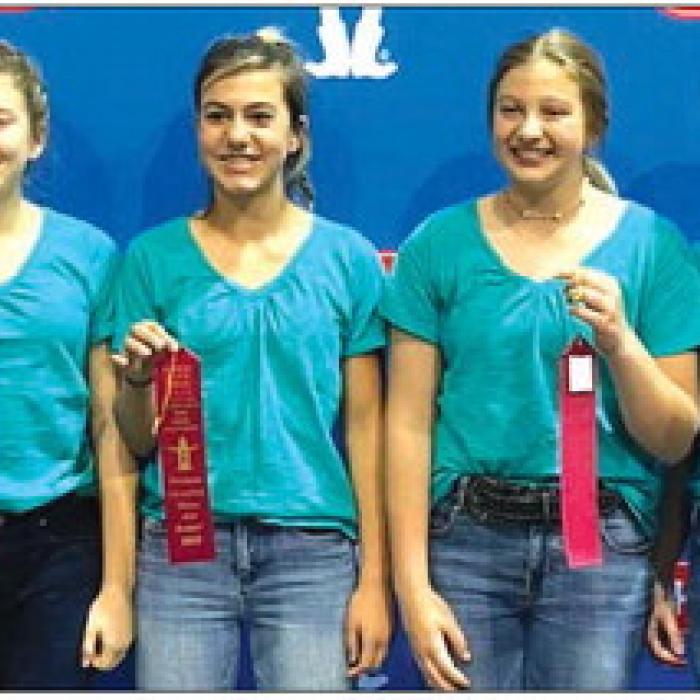 The Fayette County 4-H Junior Team consisting of Reagan Williams, Bree Dooley, Rebekah Sacks and Madison Markwardt placed 2nd in the Junior Healthy Dessert Category.