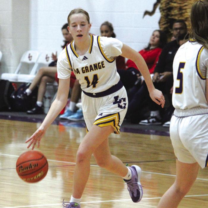 District Play Looms for Lady Leps
