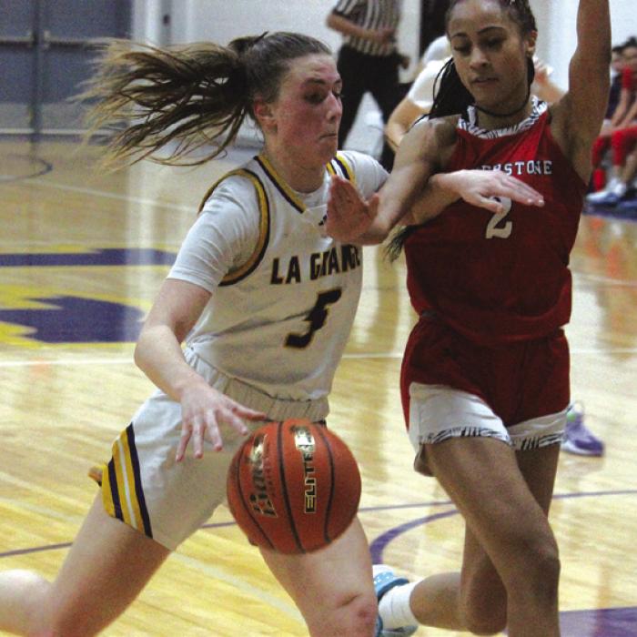 District Play Looms for Lady Leps
