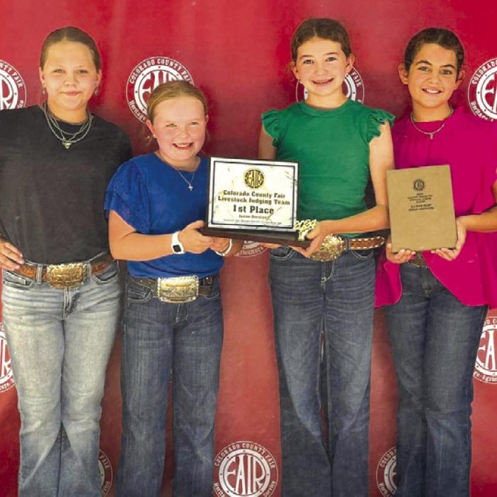 4-H Competes In Colorado County Livestock Judging