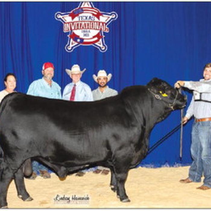 Champions Valley Wins Grand Champion