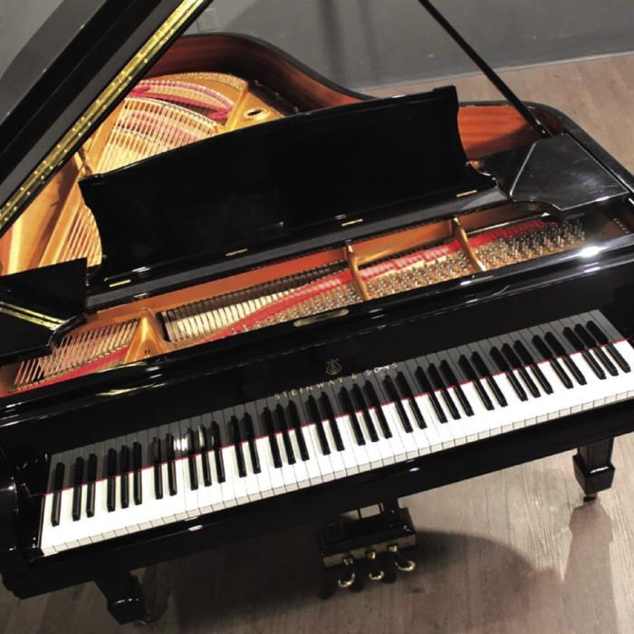Betty Donald is generously giving away a Steinway Piano Model B7 to a passionate lover of the instrument. If interested, reach out to her here: bettynald2@gmail.com.