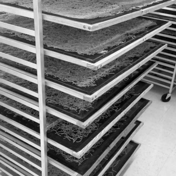 Oodles and oodles of noodles made by “The Noodle Ladies” of Serbin drying on racks.