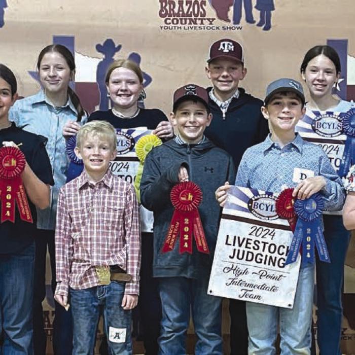 4-H Places at Brazos Co. Livestock Judging