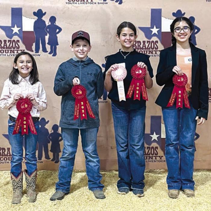 4-H Places at Brazos Co. Livestock Judging