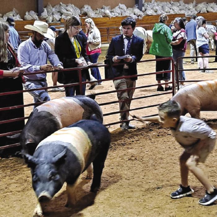 Fayette County 4-H Students Compete at Texas Roundup