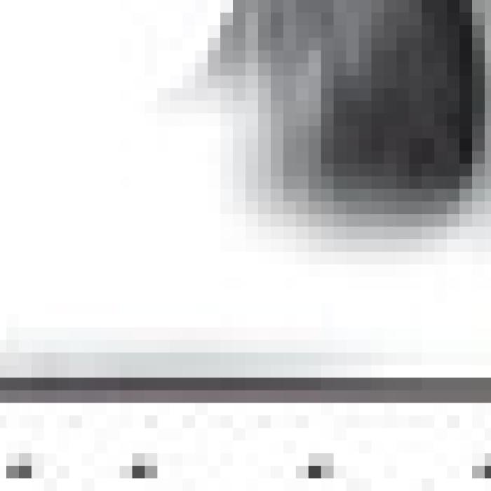 Alt Text for Image