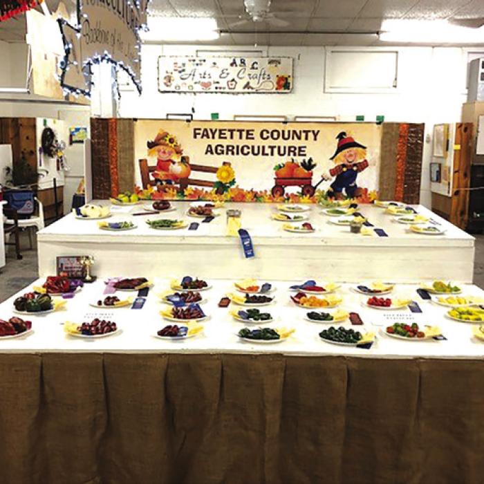 Ag Entries Sought For the County Fair