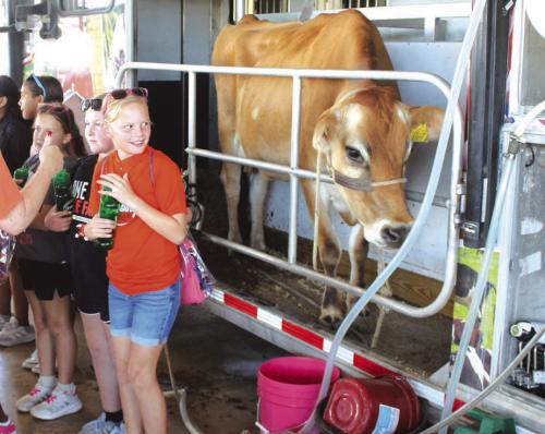 The dairy cattle mobile trailer.
