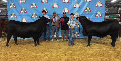 Fayette County Fair Heifer Show Winners