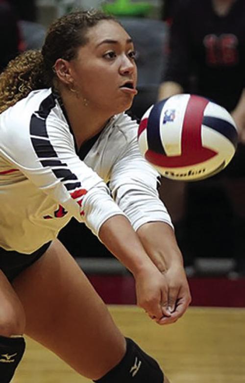 Lady Horns Fall to Iola