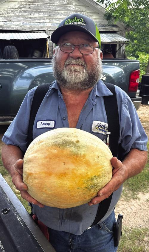 Larry Herbrich of La Grange grew this monster cantaloupe in the backyard of his place across from Kort’s Korner. He picked it last week. It weighs in at a whopping 12 pounds, much larger than most of the others he’s grown. Herbrich said most of his cantaloupes grown to 3-3.5 pounds, while he’s had some get as big as eight pounds – but he’s never had one like this before. Photo by Daniel Wick
