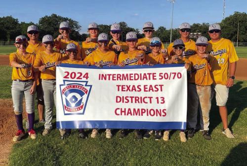 Little League District Champs