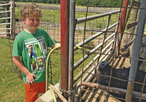 Keeping Cool on the Farm