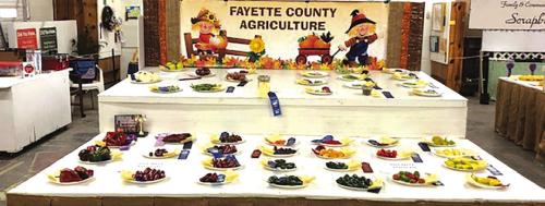 The fair agriculture entries from a previous year.
