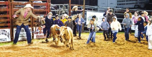 Youngsters chase after a pair of calves in the calf scramble Saturday night. Photos by Andy Behlen