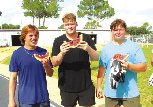 A Good Morning for Watermelon