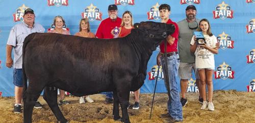 Champion Halter Heifer - Billy and Vickie Ashorn, Sharon and Freddie Behnke, Sara, Luke, Bryn, and Kate Behnke.