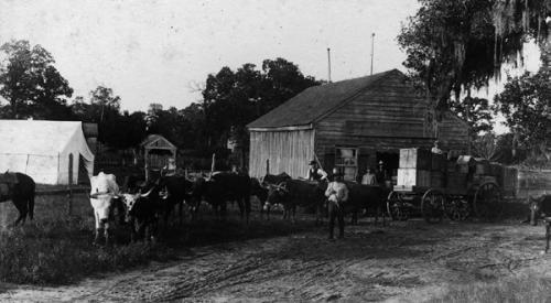 Louis Melcher captured this photo of George Huebner with his ox-team at O’Quinn in the 1890s; courtesy of the Fayette Heritage Museum and Archives.