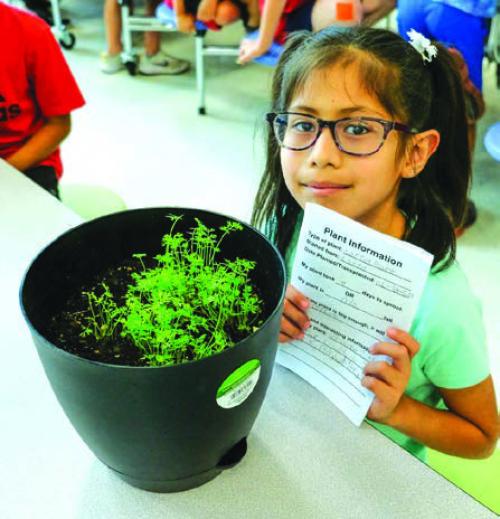 Second Graders Show Off Plants at Annual Show