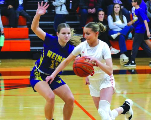 Schulenburg Girls Beat Wildcats
