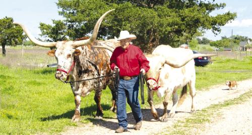 Iconic local cowboy Ralph Fisher is not only the cover subject of Elaine Thomas’ new book (which will be released at The Record’s 103rd anniversary party next Friday, Nov. 1), but Fisher is also bringing two of his legendary longhorns to the party for people to take photos with. Full party details are on the ad to the right. Photo by Diane Mueller