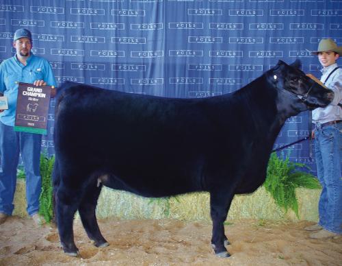 Fayette County Jr. Livestock Show Heifer and Ag Mechanics Winners