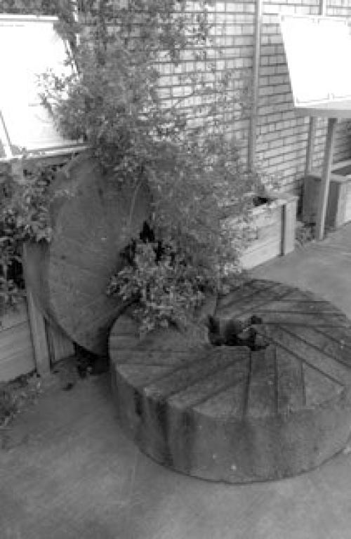 “Old Three Hundred” William Rabb