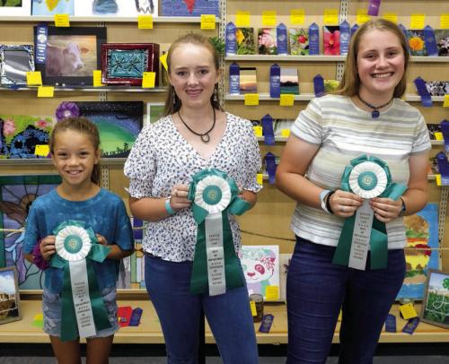 Fayette County Fair Best of Department Winners