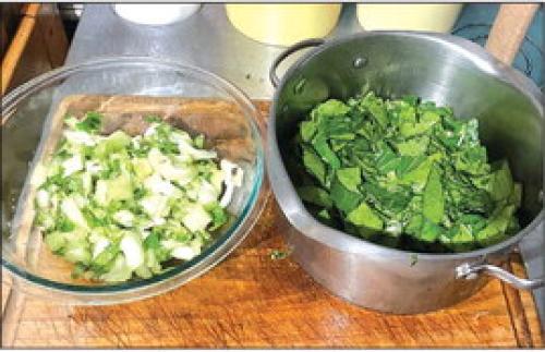 Jump for Choy, It’s Greens Season in the Garden