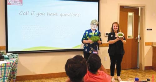 Multi-County Child Care Conference Held