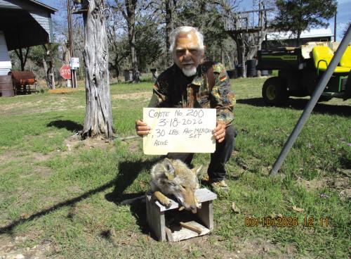 Marburger Snares Coyote No. 200 in Warda