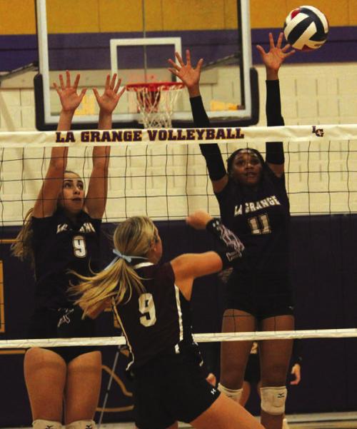 Lady Leps Hammer Lockhart