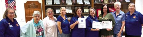 VFW Auxiliary Awards Announced