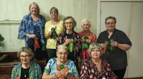 Schulenburg Garden Club Holds Flower Show