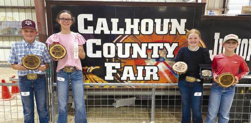 Fayette County 4-H Competes in Calhoun County Livestock Judging