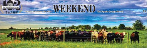 A Celebration of'Local Color'