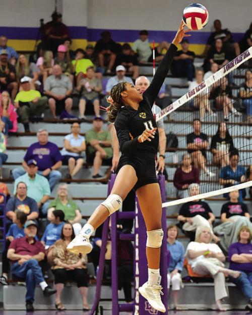 La Grange’s Brion Williams. Photo by Stephanie Steinhauser